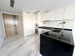 Wallich Residence  (D2), Condominium #585538301